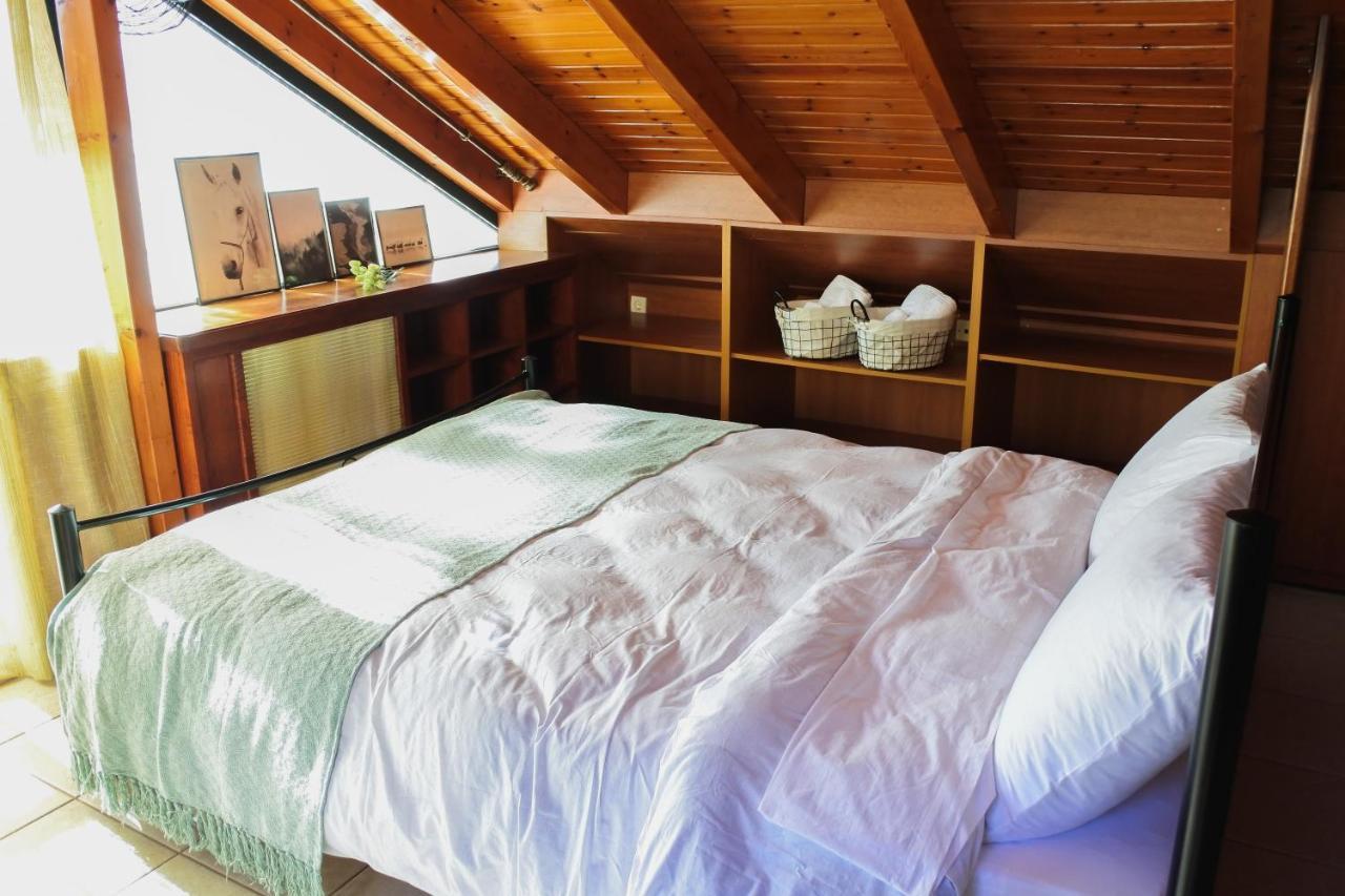 Vanilla Loft House 普雷韦扎 外观 照片